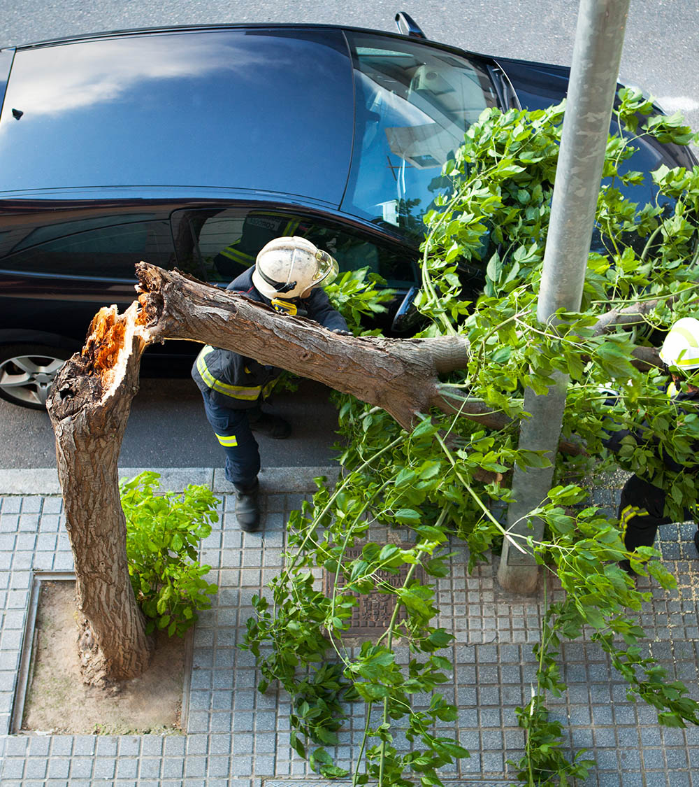 väiksemahulised raietööd