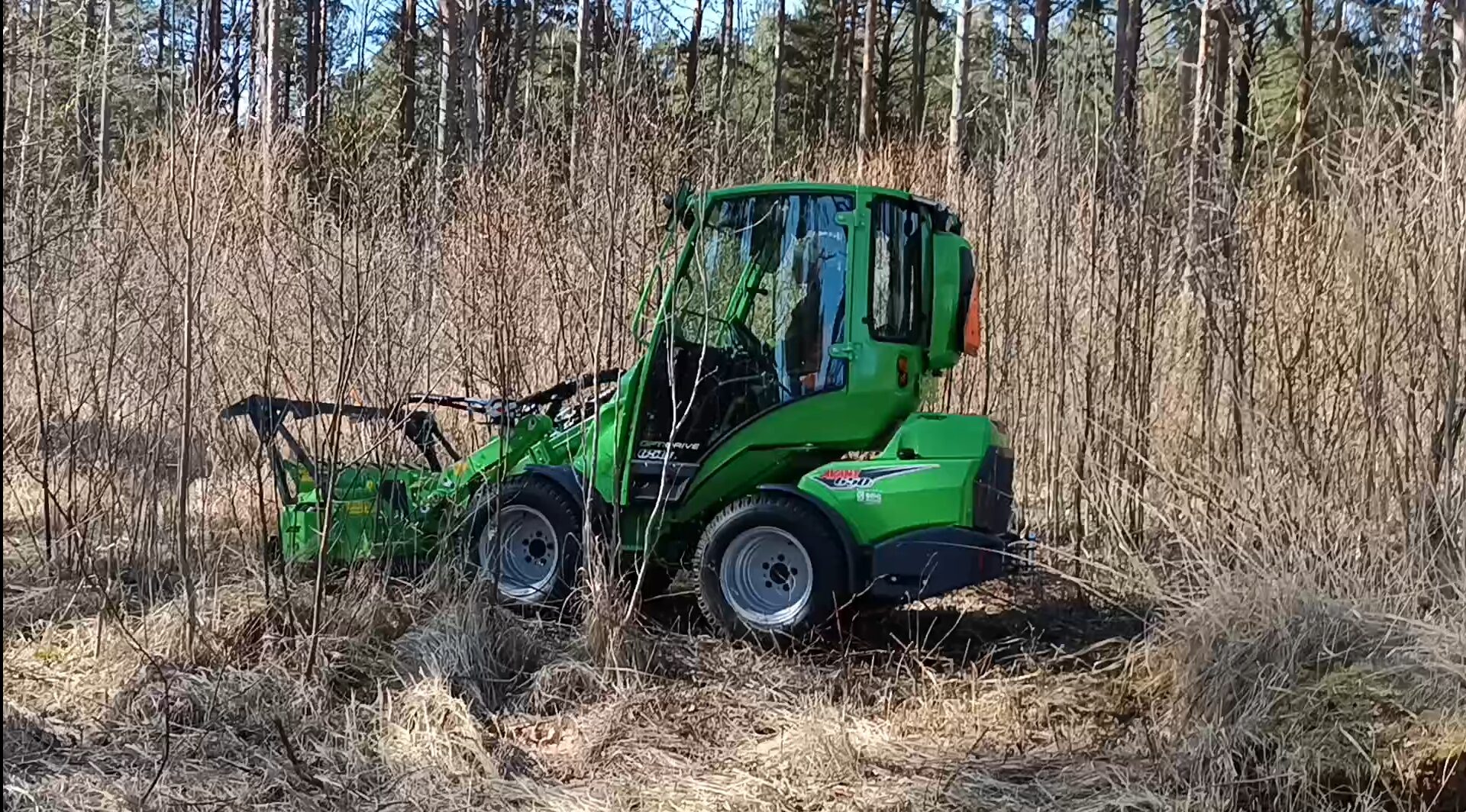 Võsa multiśmine