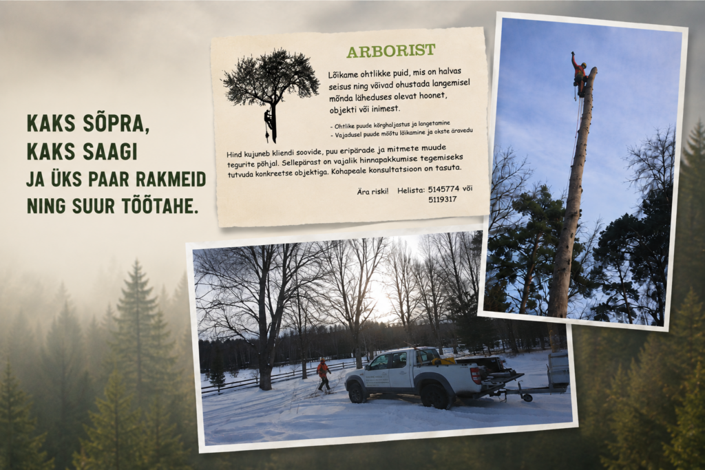 Ladvast Kännuni