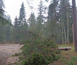 okste äravedu ja purustamine