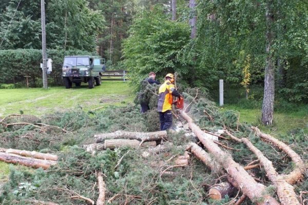 okste purustamine ladvast kännuni